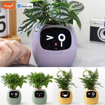 Tuya Ivy Smart Planter Pot with AI Chips: Over 49 Rich Expressions